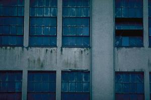 家族で楽しむ！アドベンチャーパークの魅力とおすすめアクティビティガイド