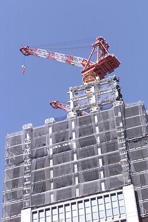 自然の活力が豊かな岩出市の土地がおすすめ